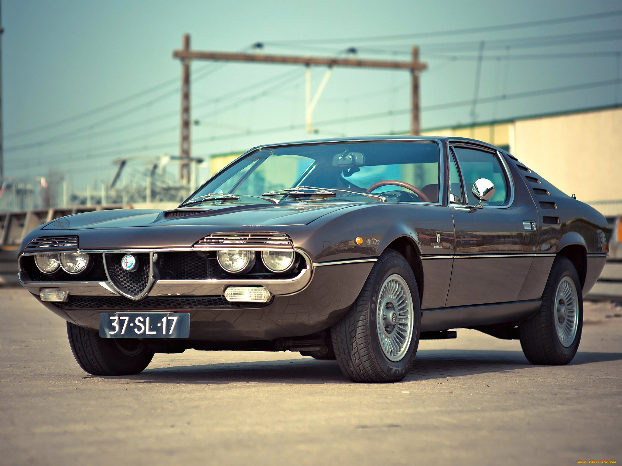 alfa, romeo, montreal, 